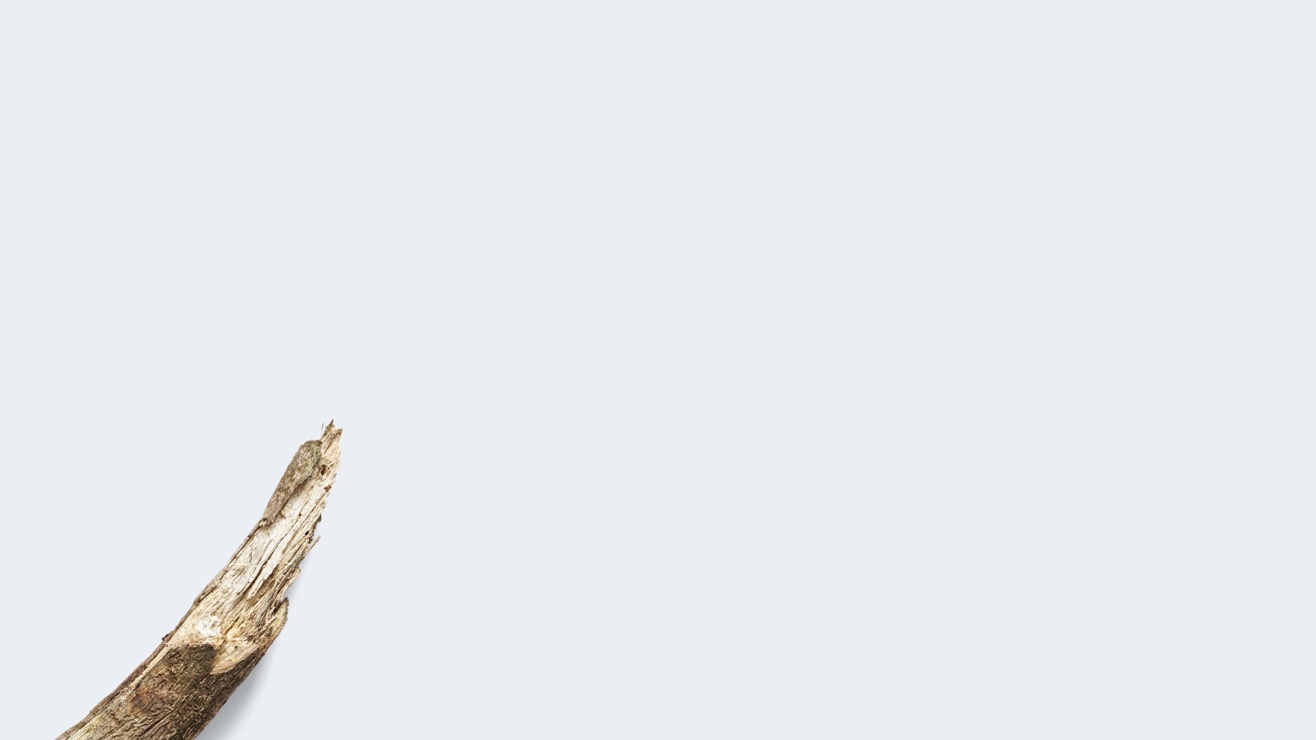 - Huba Concept - 0 el İşçiliği ile Tasarım Mobilya, Sandalye, Berjer, Koltuk